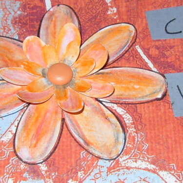 My Passions (flower detail)