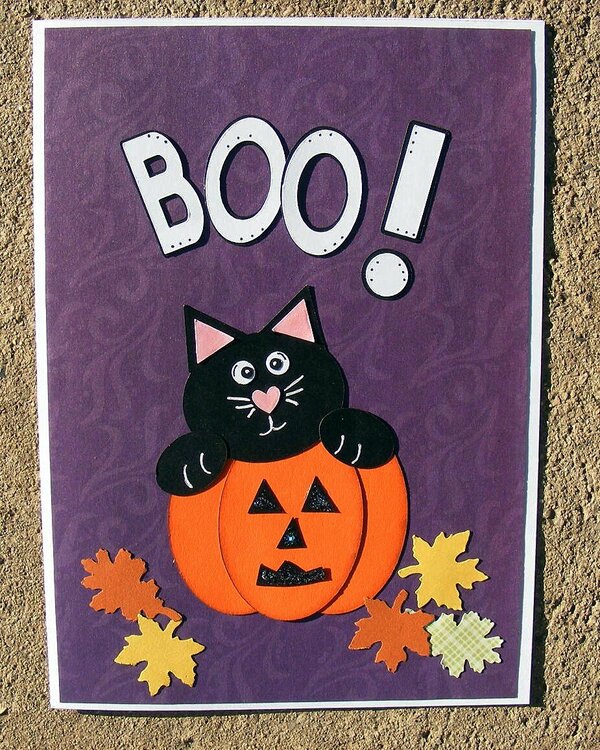 boo kitty