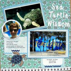 Sea Turtle Wisdom
