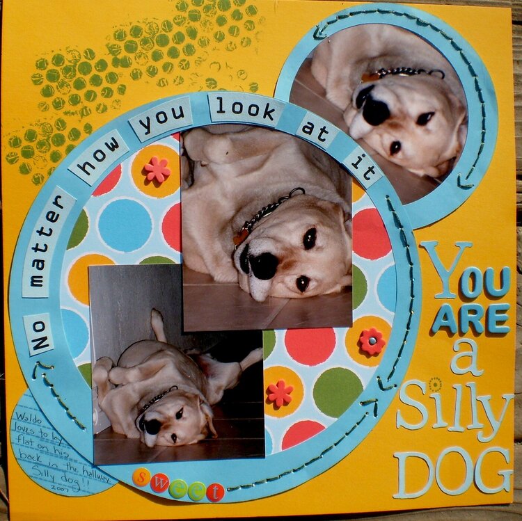 You are a silly dog