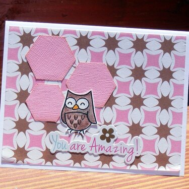 You are Amazing owl card