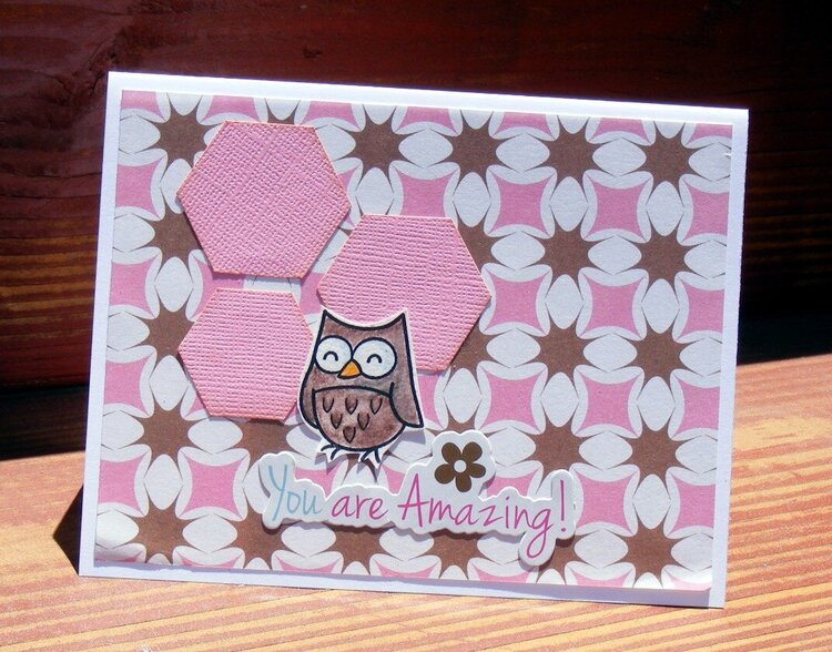 You are Amazing owl card