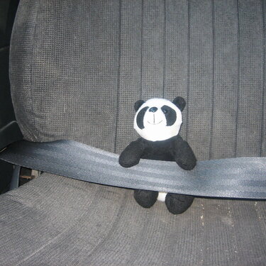 Safety First!! Always wear a seat belt!!