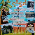 Safari layout