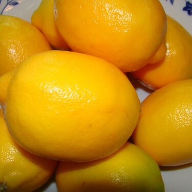POD 04-22-09 Lemons