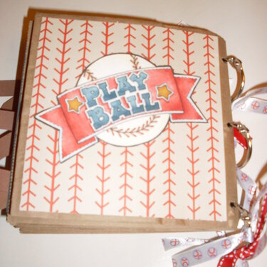 Baseball paper bag album - back cover