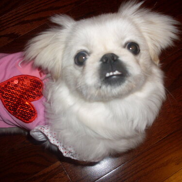 Pooh&#039;s valentine sweater