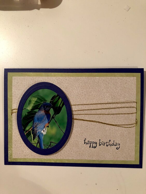 Casey Birthday bluebird