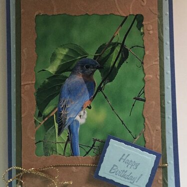 Bluebird Birthday Wishes