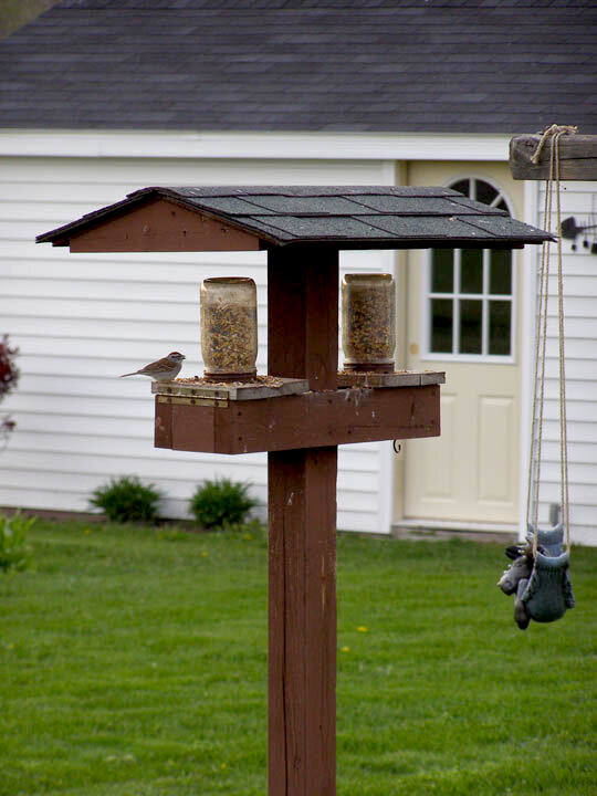 19. A Birdhouse or Birdfeeder {5 pts.} With A Bird(s) On It {10 pts.}