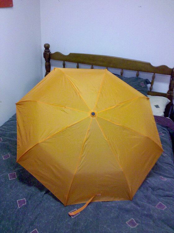 13. Umbrella (10 pts)