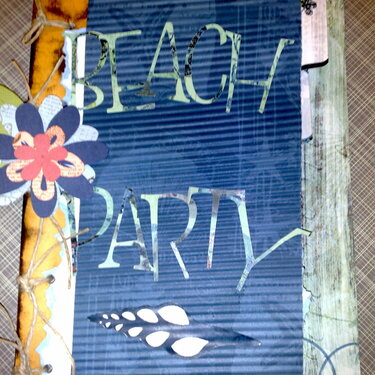 Beach Party Book