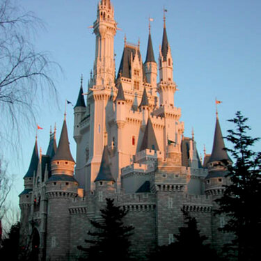 which Disney castle is this?