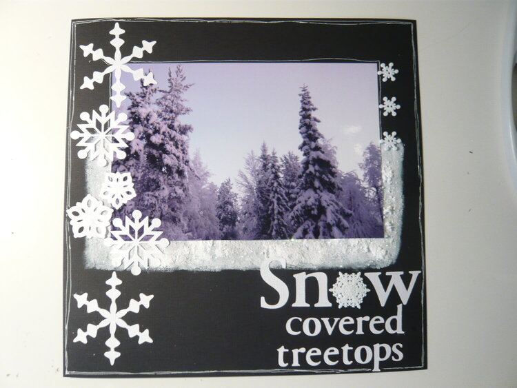 Snow covered treetops
