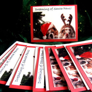 Dreaming of Santa Paws! Note Cards