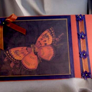 Orange and Purple Butterfly B-day card