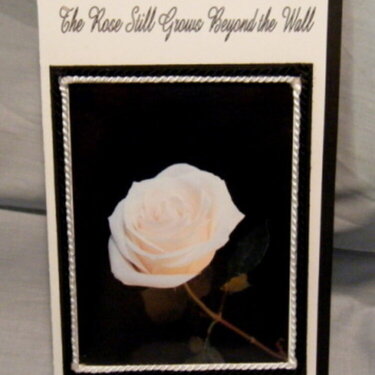 Rose  Grows Sympathy Card