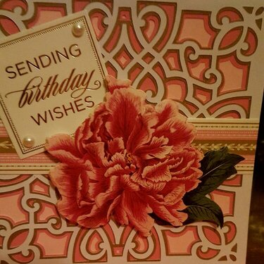 Birthday Wishes card