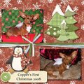 Copper's First Christmas 2008