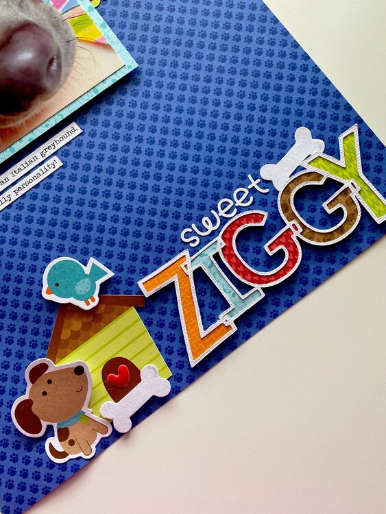 Sweet Ziggy