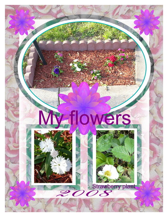 My Flowers!