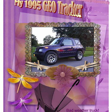 My 1995 Geo Tracker