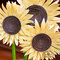 *** Doodlebug Design *** Cardstock Sunflowers