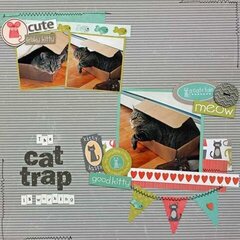 Cat Trap