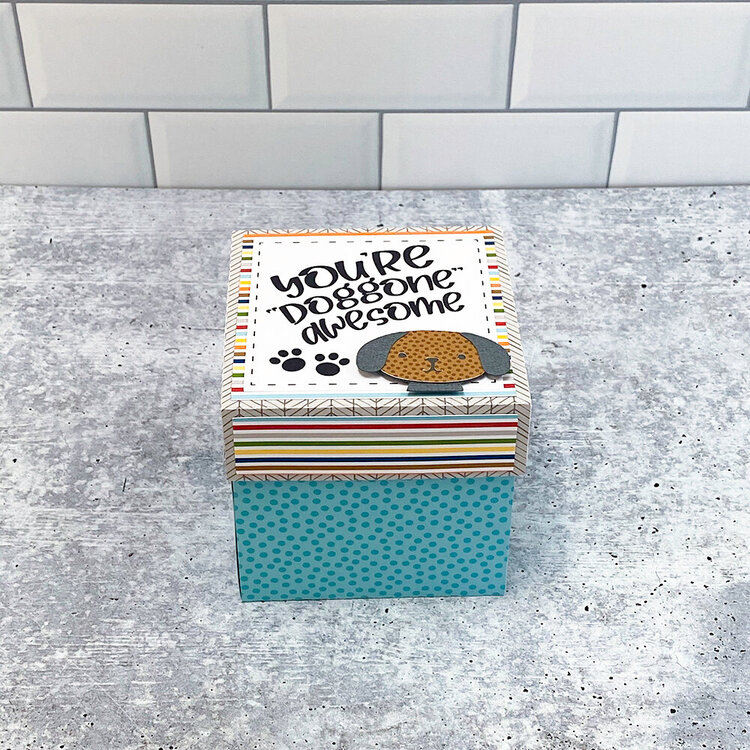 Lori Whitlock | Dog Explosion Box