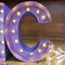 *** Doodlebug Design *** Lilac Marquee Lights