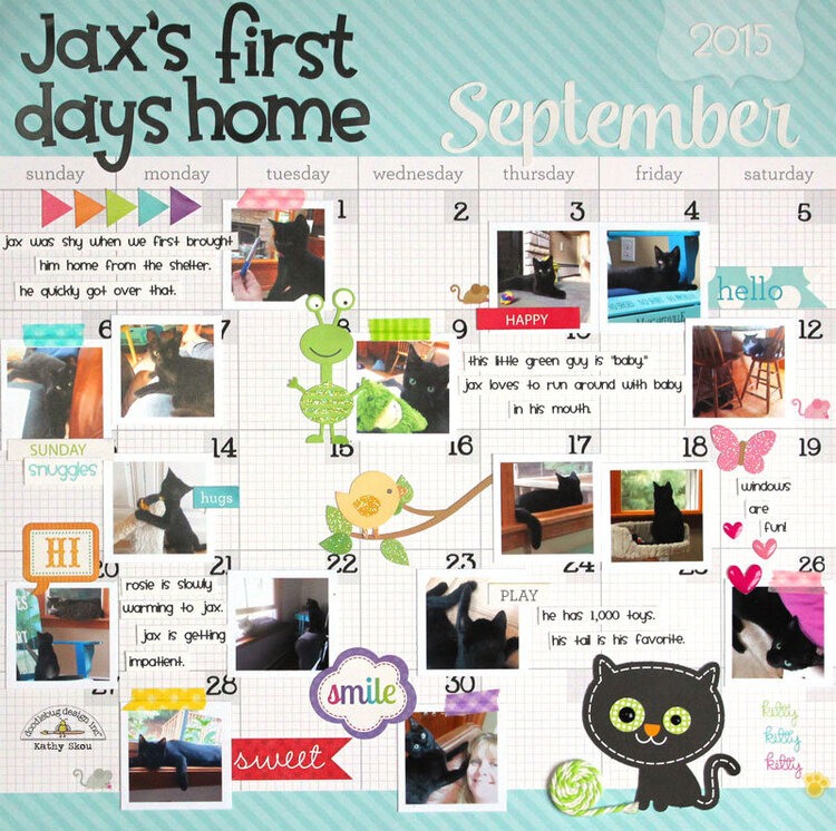 *** Doodlebug Design *** Jax&#039;s First Days Home