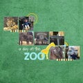 a day at the zoo