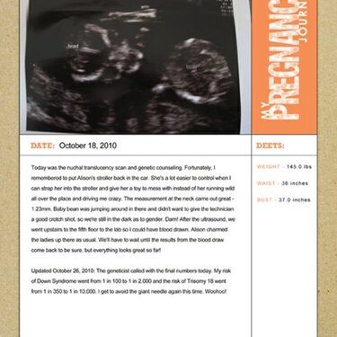 Pregnancy Journal - First Ultrasound