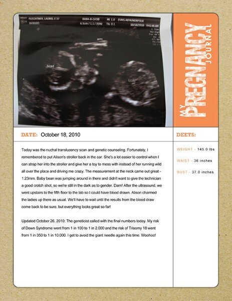Pregnancy Journal - First Ultrasound