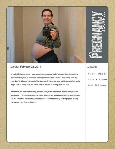 Pregnancy Journal - February 2011