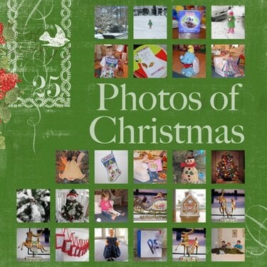 25 Photos of Christmas - Carina Gardner CT Dec2011
