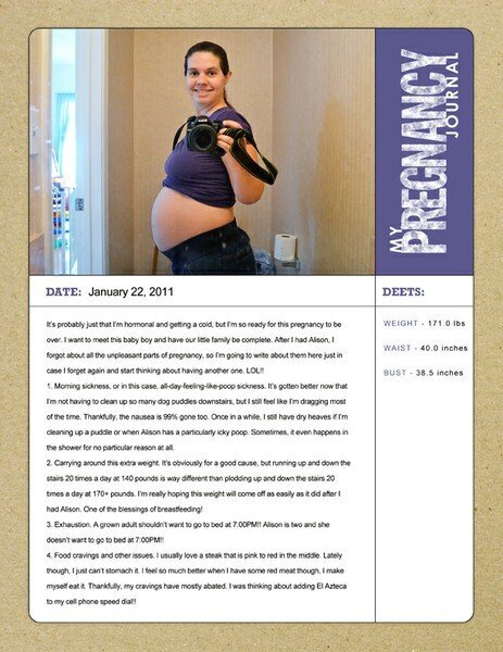 Pregnancy Journal - Is it over yet? LOL