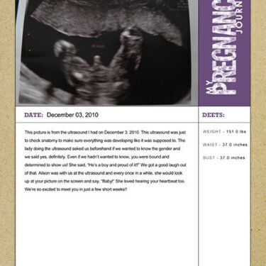 Pregnancy Journal - It&#039;s a Boy