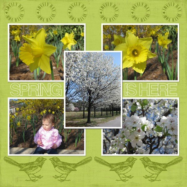 Spring is here - Carina Gardner CT April 2011