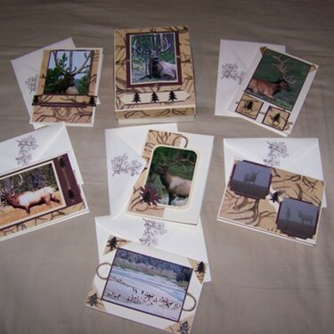 Elk Boxed Card Set