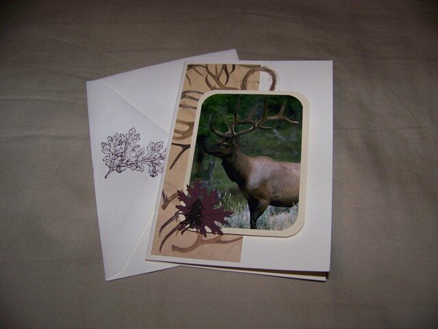 Elk Boxed Card Set