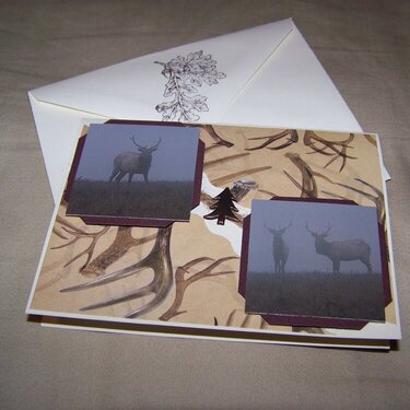 Elk Boxed Card Set