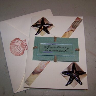 Sea Stars Boxed Card Set