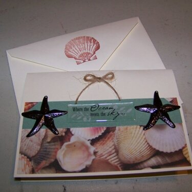 Sea Stars Boxed Card Set