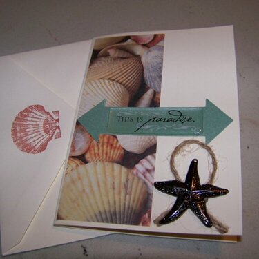 Sea Stars Boxed Card Set