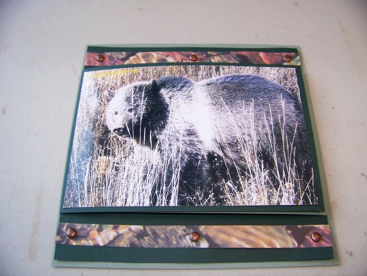 Yellowstone Wildlife Card