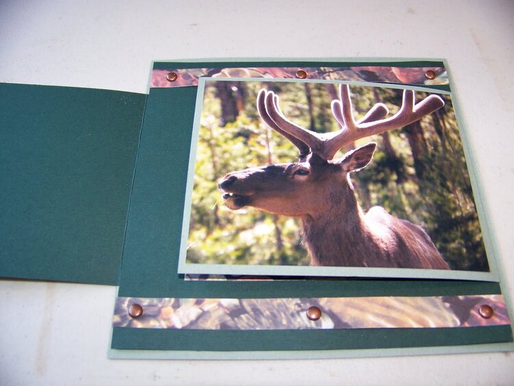 Yellowstone Wildlife Card - Inside Flap