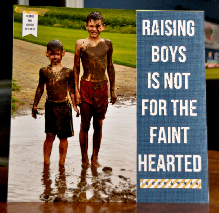 Raising Boys is Not for the Faint Hearted