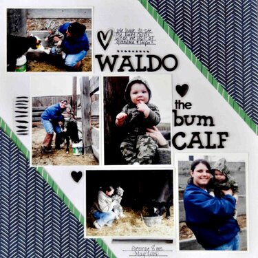 Waldo the Bum Calf