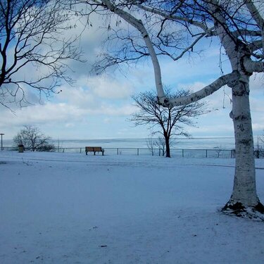 Lakewood Park.